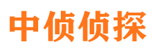 珠晖市调查公司